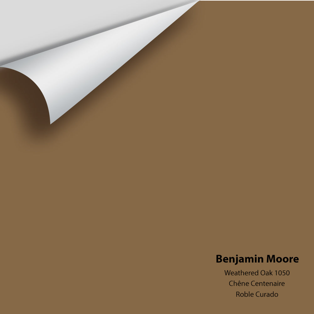 Digital color swatch of Benjamin Moore&#39;s Weathered Oak 1050 Peel &amp; Stick Sample available at Anderson Paint in Michigan.