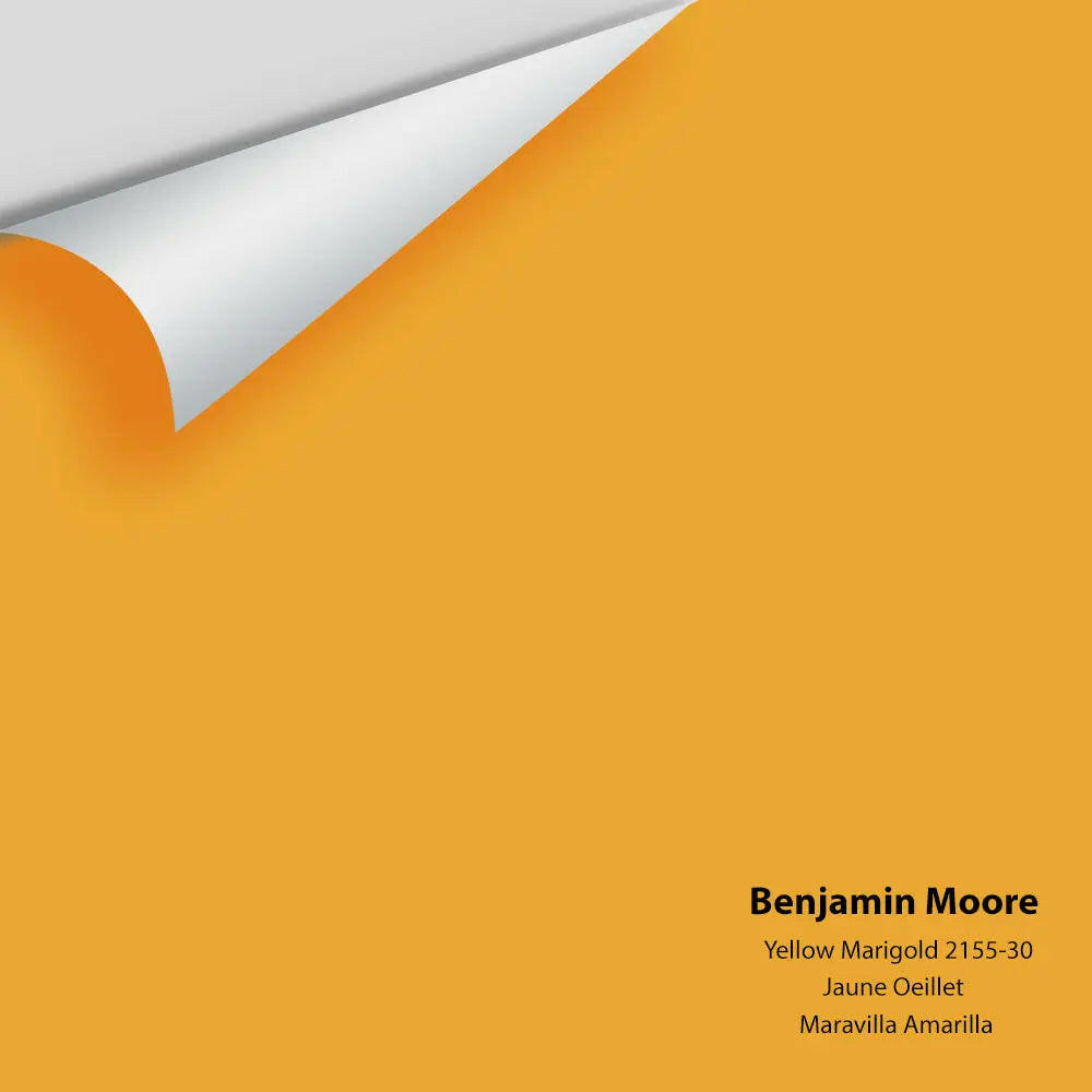 2155-30 Yellow Marigold Peel &amp; Stick Paint Sample