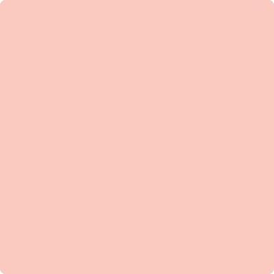 Shop the paint color 009 Blushing Brilliance by Benjamin Moore at Anderson Paint Company in Ann Arbor, Michigan.