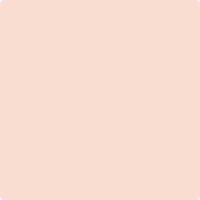 Shop the paint color 015 Soft Shell by Benjamin Moore at Anderson Paint Company in Ann Arbor, Michigan.