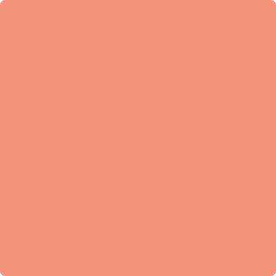 Shop the paint color 019 Salmon Run by Benjamin Moore at Anderson Paint Company in Ann Arbor, Michigan.