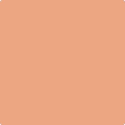 Shop the paint color 068 Succulent Peach by Benjamin Moore at Anderson Paint Company in Ann Arbor, Michigan.