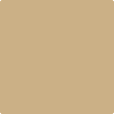 Shop the paint color 1096 Bridgewater Tan by Benjamin Moore at Anderson Paint Company in Ann Arbor, Michigan.