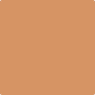 Shop the paint color 111 Rio Rancho Clay by Benjamin Moore at Anderson Paint Company in Ann Arbor, Michigan.