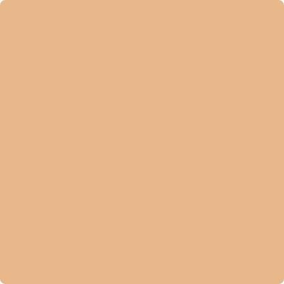 Shop the paint color 117 Persian Melon by Benjamin Moore at Anderson Paint Company in Ann Arbor, Michigan.