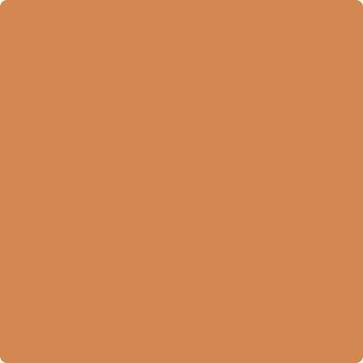 Shop the paint color 119 Cornucopia Tan by Benjamin Moore at Anderson Paint Company in Ann Arbor, Michigan.