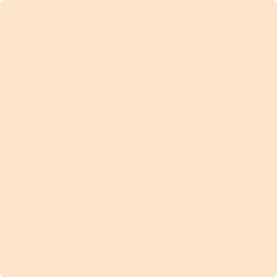 Shop the paint color 128 Florida Seashells by Benjamin Moore at Anderson Paint Company in Ann Arbor, Michigan.