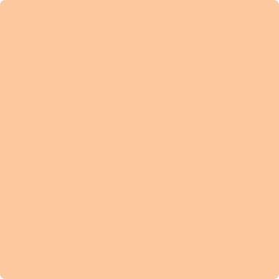 Shop the paint color 137 Peach Pudding by Benjamin Moore at Anderson Paint Company in Ann Arbor, Michigan.