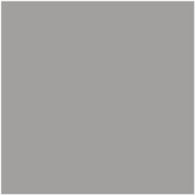 Shop the paint color 1461 Sterling Silver by Benjamin Moore at Anderson Paint Company in Ann Arbor, Michigan.