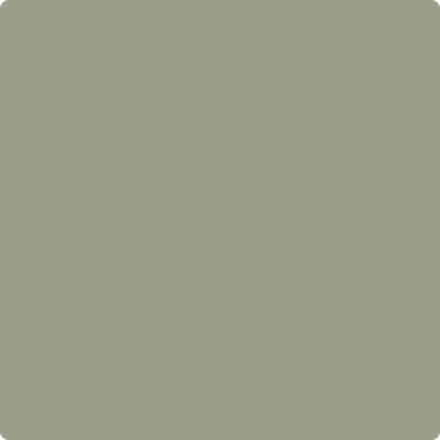 Shop the paint color 1496 Raintree Green by Benjamin Moore at Anderson Paint Company in Ann Arbor, Michigan.