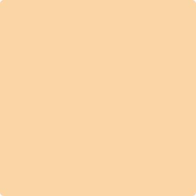 Shop the paint color 158 Pineapple Orange by Benjamin Moore at Anderson Paint Company in Ann Arbor, Michigan.