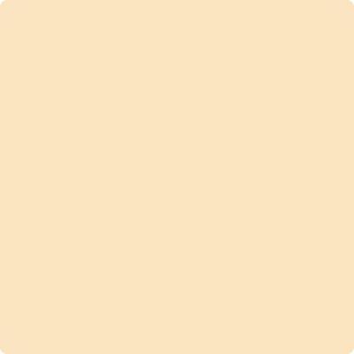 Shop the paint color 163 Somerset Peach by Benjamin Moore at Anderson Paint Company in Ann Arbor, Michigan.