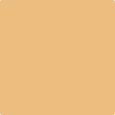 Shop the paint color 166 Orange Ice by Benjamin Moore at Anderson Paint Company in Ann Arbor, Michigan.