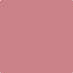 2006-60 Authentic Pink - Paint Color