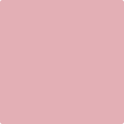 Shop the paint color 2005-50 Pink Eraser by Benjamin Moore at Anderson Paint Company in Ann Arbor, Michigan.