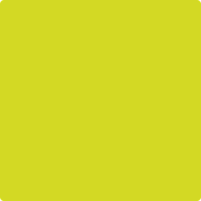 Shop the paint color 2025-30 New Lime by Benjamin Moore at Anderson Paint Company in Ann Arbor, Michigan.