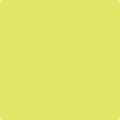 Shop the paint color 2025-40 Limelight by Benjamin Moore at Anderson Paint Company in Ann Arbor, Michigan.