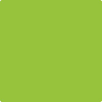 Shop the paint color 2026-10 Lime Green by Benjamin Moore at Anderson Paint Company in Ann Arbor, Michigan.