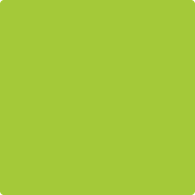 Shop the paint color 2026-20 Margarita by Benjamin Moore at Anderson Paint Company in Ann Arbor, Michigan.