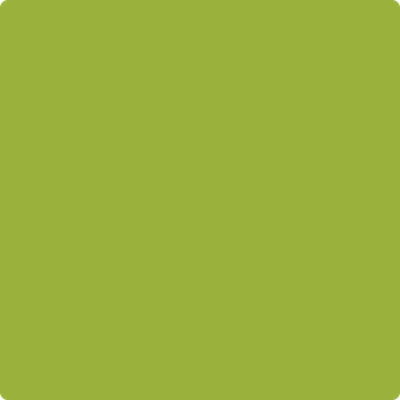 Lichen Green 70YY 55/299 Wall Paint - Lime Colour Palette for House
