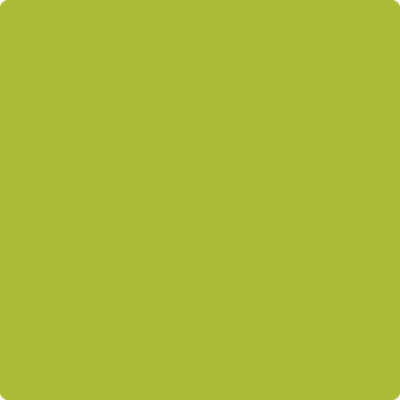 Shop the paint color 2027-20 Spring Moss by Benjamin Moore at Anderson Paint Company in Ann Arbor, Michigan.