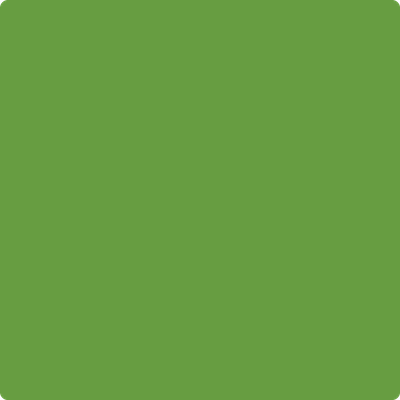 Shop the paint color 2029-20 Baby Fern by Benjamin Moore at Anderson Paint Company in Ann Arbor, Michigan.