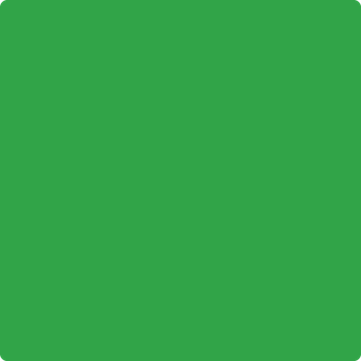 Shop the paint color 2030-10 Lizard Green by Benjamin Moore at Anderson Paint Company in Ann Arbor, Michigan.