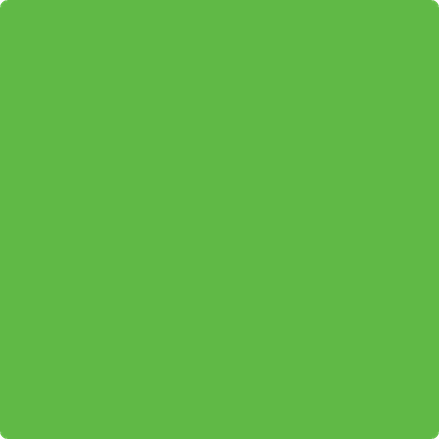 Shop the paint color 2030-30 Lucky Charm Green by Benjamin Moore at Anderson Paint Company in Ann Arbor, Michigan.