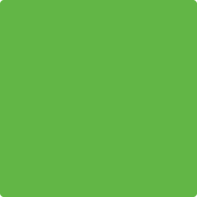 Shop the paint color 2031-20 Paradise Green by Benjamin Moore at Anderson Paint Company in Ann Arbor, Michigan.