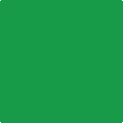 2032-10 Neon Green by Benjamin Moore | Anderson Paint