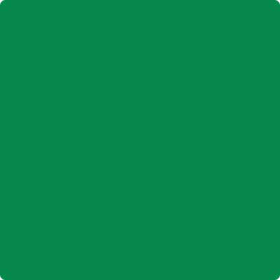 Shop the paint color 2037-20 Jade Green by Benjamin Moore at Anderson Paint Company in Ann Arbor, Michigan.