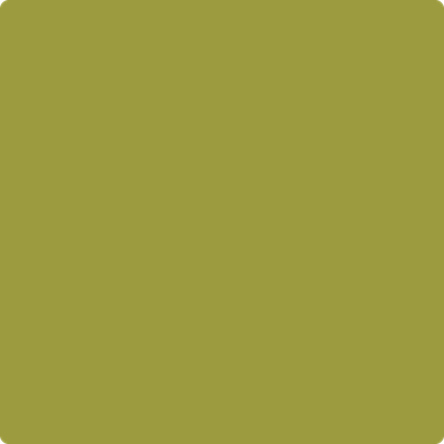 Shop the paint color 2146-20 Forest Moss by Benjamin Moore at Anderson Paint Company in Ann Arbor, Michigan.