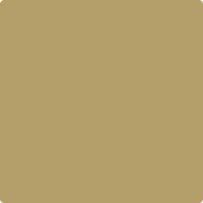 Shop the paint color 2148-30 Military Tan by Benjamin Moore at Anderson Paint Company in Ann Arbor, Michigan.