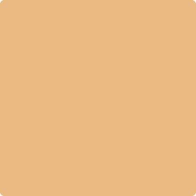 Shop the paint color 2158-40 Golden Mist by Benjamin Moore at Anderson Paint Company in Ann Arbor, Michigan.