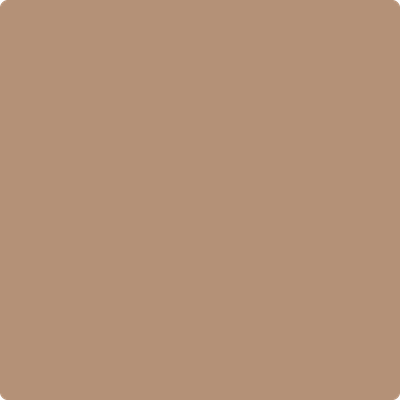 Shop the paint color 2164-40 Serengeti Sand by Benjamin Moore at Anderson Paint Company in Ann Arbor, Michigan.