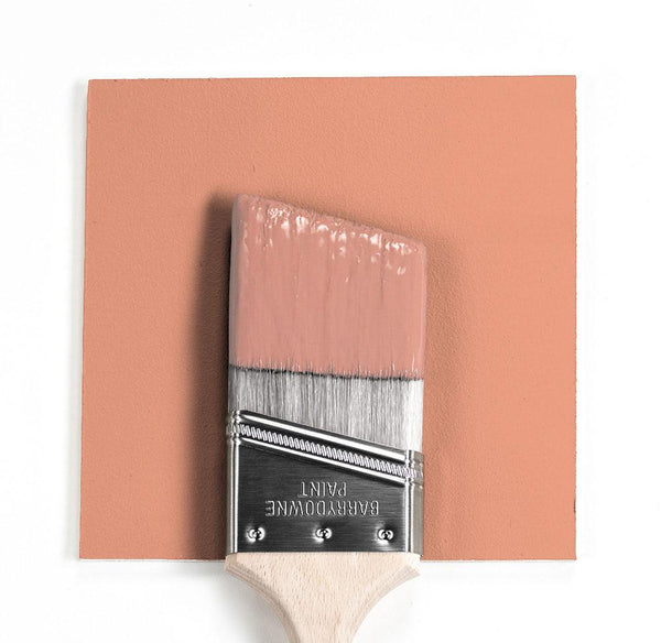 480 Lily Pad - Paint Color  The Color Palette Paint Store