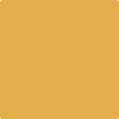 Shop the paint color 301 Glen Ridge Gold by Benjamin Moore at Anderson Paint Company in Ann Arbor, Michigan.