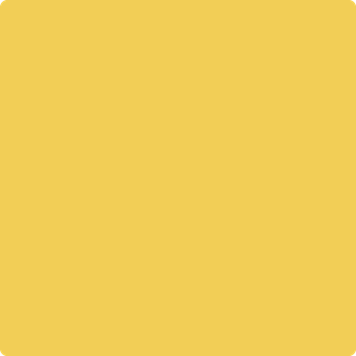Shop the paint color 349 Yellow Brick Road by Benjamin Moore at Anderson Paint Company in Ann Arbor, Michigan.