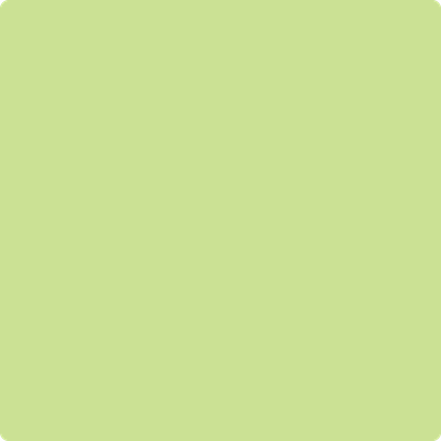 Shop the paint color 411 Celtic Folklore by Benjamin Moore at Anderson Paint Company in Ann Arbor, Michigan.