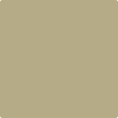 Shop the paint color 515 Baby Turtle by Benjamin Moore at Anderson Paint Company in Ann Arbor, Michigan.