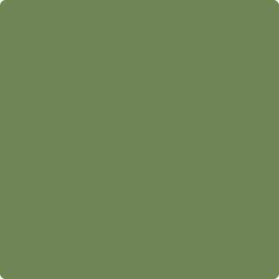 Shop the paint color 546 Courtyard Green by Benjamin Moore at Anderson Paint Company in Ann Arbor, Michigan.