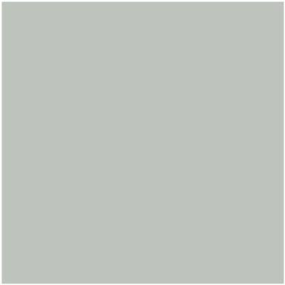 Shop the paint color AF-490 Tranquillity by Benjamin Moore at Anderson Paint Company in Ann Arbor, Michigan.