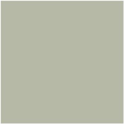 Shop the paint color CC-550 October Mist by Benjamin Moore at Anderson Paint Company in Ann Arbor, Michigan.