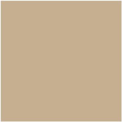 Shop the paint color HC-44 Lenox Tan by Benjamin Moore at Anderson Paint Company in Ann Arbor, Michigan.