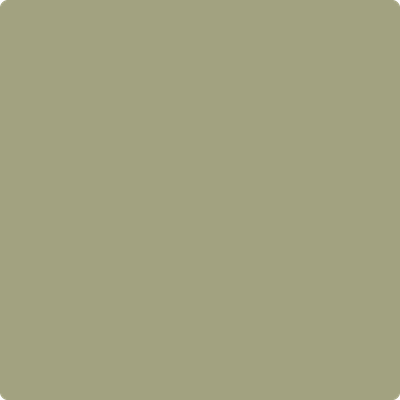 Shop the paint color AF-405 Thicket by Benjamin Moore at Anderson Paint Company in Ann Arbor, Michigan.