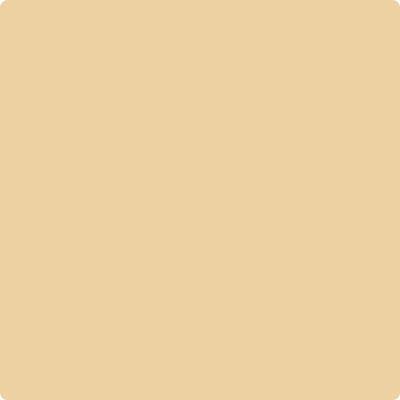 Shop the paint color CC-244 French Toast by Benjamin Moore at Anderson Paint Company in Ann Arbor, Michigan.
