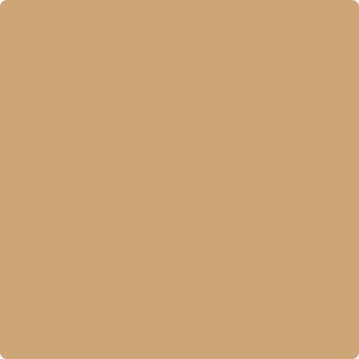 Shop the paint color CC-274 Ginger Root by Benjamin Moore at Anderson Paint Company in Ann Arbor, Michigan.