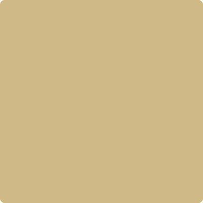 Shop the paint color CC-300 Sombrero by Benjamin Moore at Anderson Paint Company in Ann Arbor, Michigan.