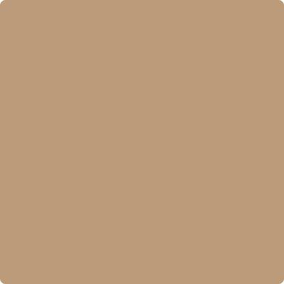 Shop the paint color CC-302 Rawhide by Benjamin Moore at Anderson Paint Company in Ann Arbor, Michigan.