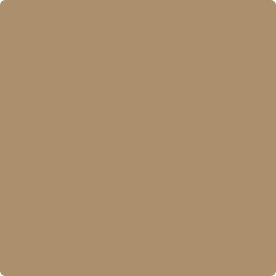 Shop the paint color CC-332 Norwester Tan by Benjamin Moore at Anderson Paint Company in Ann Arbor, Michigan.